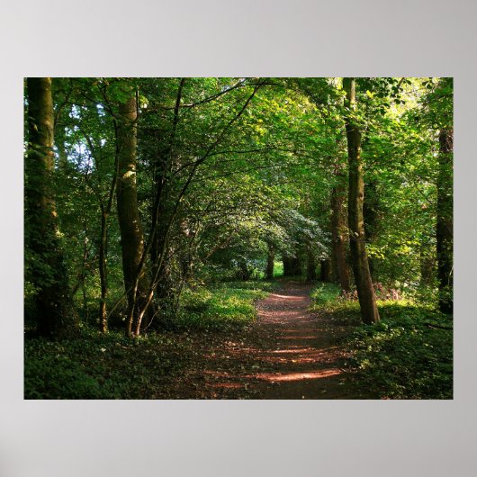 森の小道 ポスター (正面)