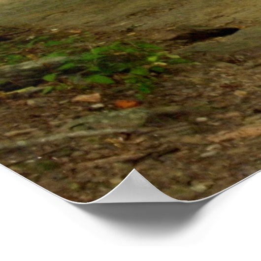 森の小道 ポスター (角)