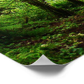 森の小道 ポスター (角)