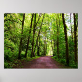 森の小道 ポスター (正面)