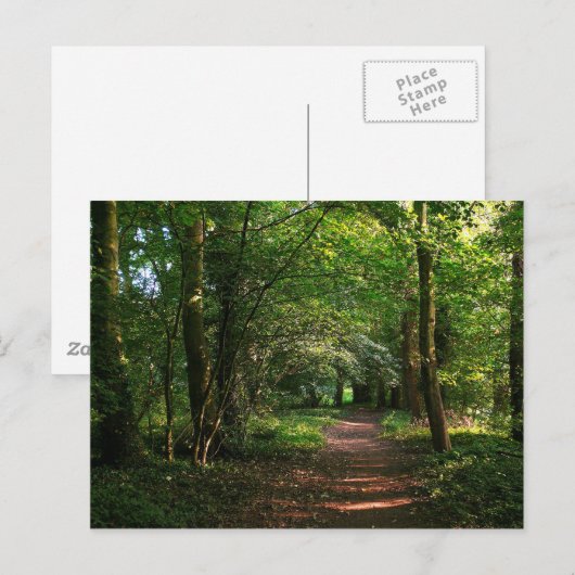 森の小道 ポストカード (正面/裏面)