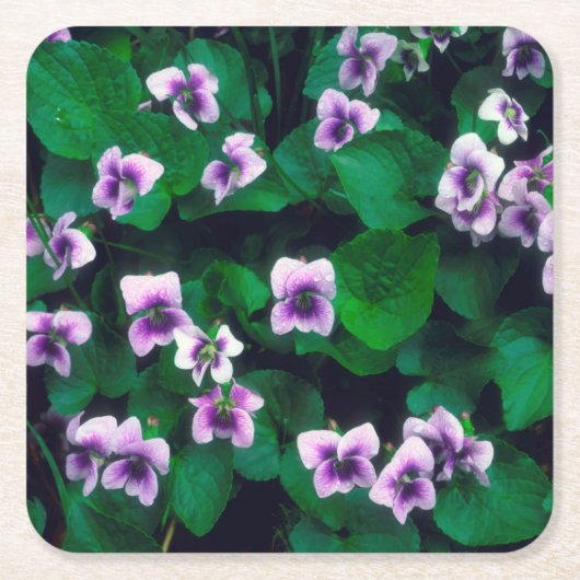 森の山の花 スクエアペーパーコースター (正面)