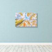 森の床から見上げるストレッチキャンバス キャンバスプリント (インサイチュ (ウッドフロア))