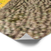 森の床から見上げる ポスター (角)