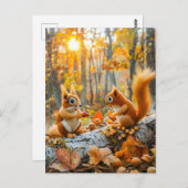 森の床でドングリを集めるリス ポストカード (正面/裏面)