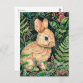 森の床に座っているウサギのかわいいスケッチ ポストカード (正面/裏面)