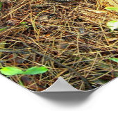 森の床 – ピネコーンなど。ポスター ポスター (角)