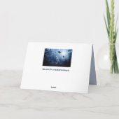 森の挨拶状のオオカミ カード (裏面)