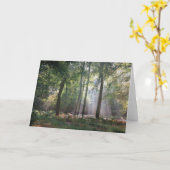 森の挨拶状の日光 カード (黄色い花)