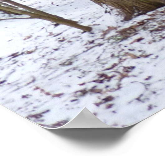 森の散歩 ポスター (角)