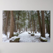 森の散歩 ポスター (正面)