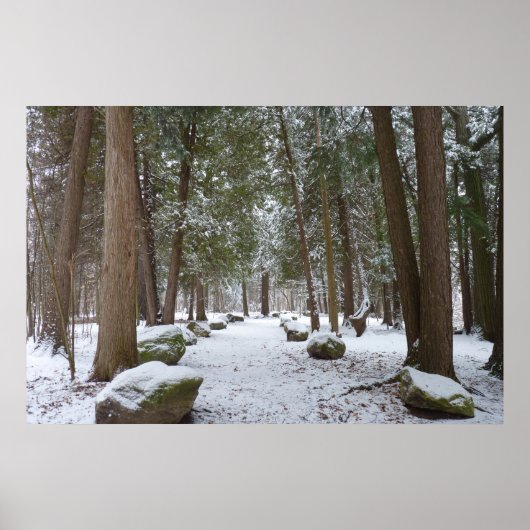 森の散歩 ポスター (正面)