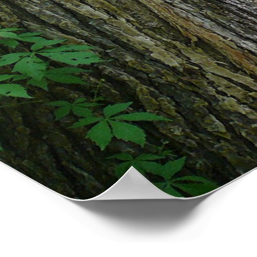 森の散歩 ポスター (角)