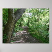 森の散歩 ポスター (正面)