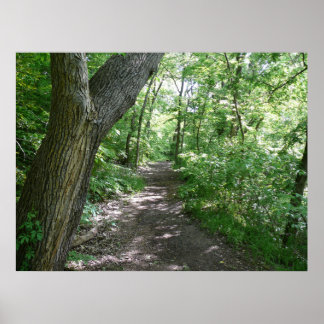 森の散歩 ポスター