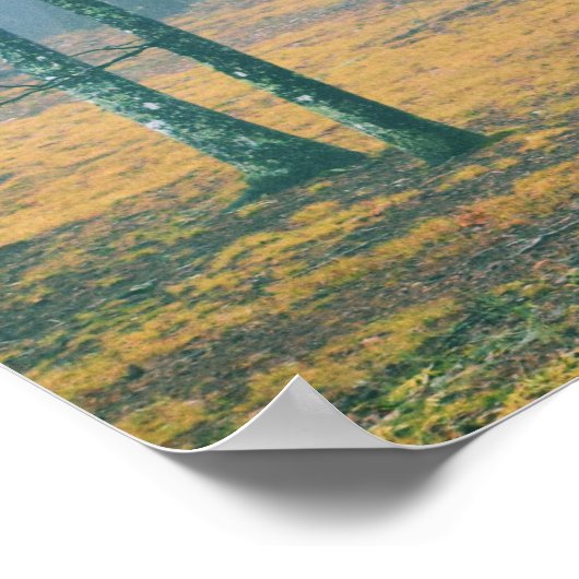 森の散歩 ポスター (角)