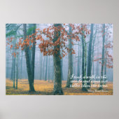 森の散歩 ポスター (正面)