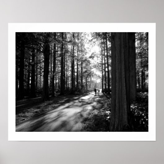 森の散歩 – 東京・水本公園 ポスター (正面)