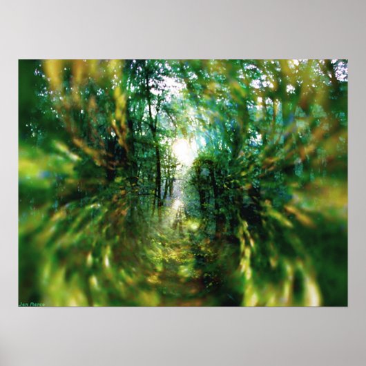 森の日の出2 ポスター (正面)