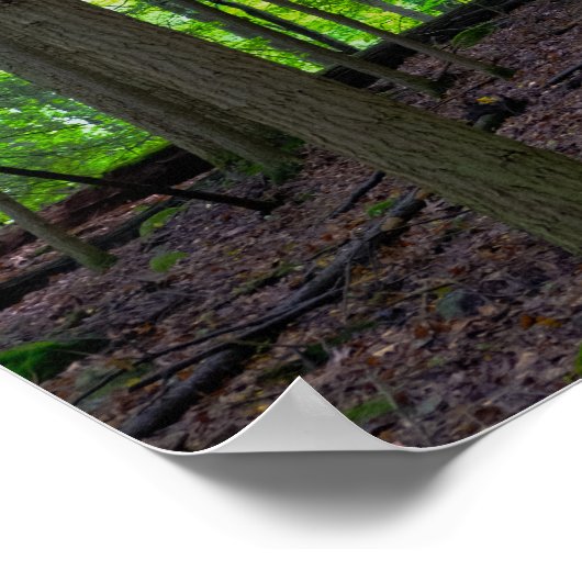 森の日の出 ポスター (角)