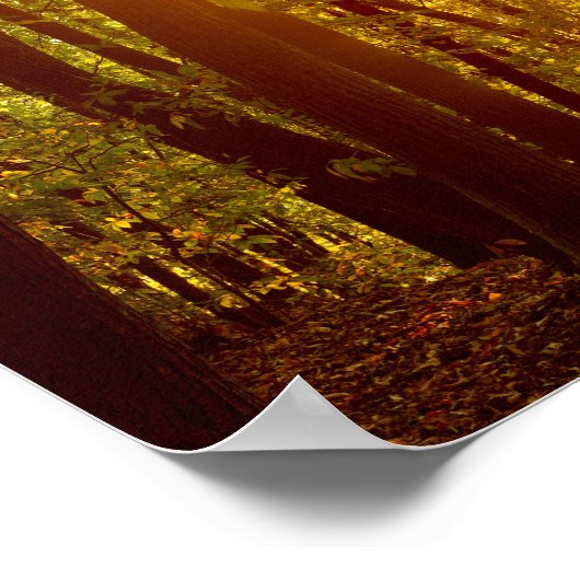 森の日の出 ポスター (角)