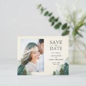 森の日付はがき冬松の木を保存 案内ポストカード (スタンド正面)