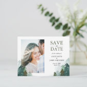 森の日付はがき冬松の木を保存 案内ポストカード (スタンド正面)