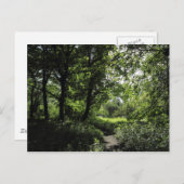 森の春03 ポストカード (正面/裏面)