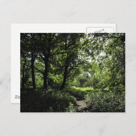 森の春03 ポストカード (正面/裏面)