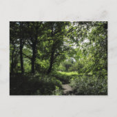 森の春03 ポストカード (正面)