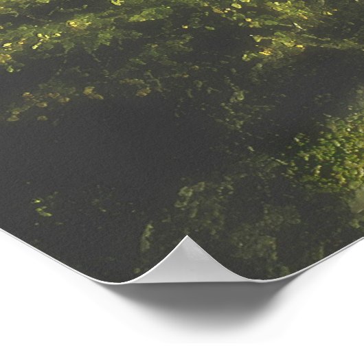 森の月 ポスター (角)