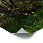 森の木々の歩くパスに沿ってゴージャスな日 ポスター (角)