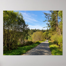 森の木々の歩くパスに沿ってゴージャスな日 ポスター