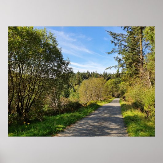 森の木々の歩くパスに沿ってゴージャスな日 ポスター (正面)