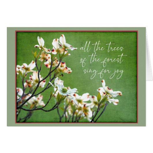 森の木々はハナミズキを喜ぶために歌う (正面横)