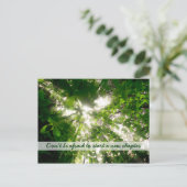 森の木々を葉流れる日光 ポストカード (スタンド正面)