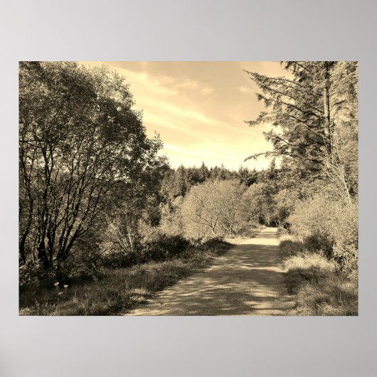 森の木々歩くパスに沿ってゴージャスな日のポスト ポスター (正面)