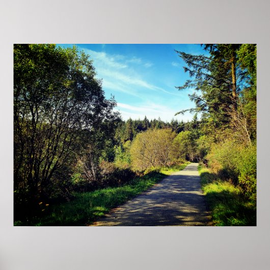 森の木々歩くパスに沿ってゴージャスな日のポスト ポスター (正面)