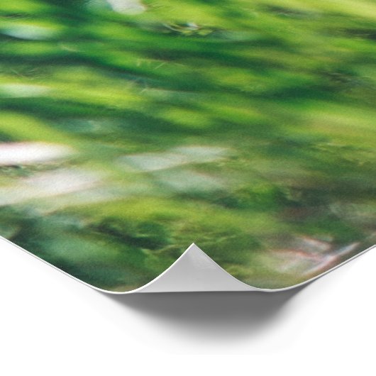 森の木々。自然緑木陽光背景 ポスター (角)