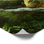 森の木々 | AIアートポスター ポスター (角)