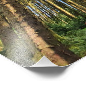 森の木のポスター フォトプリント            (角)