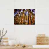 森の木のポスター ポスター (キッチン)