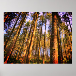 森の木のポスター ポスター