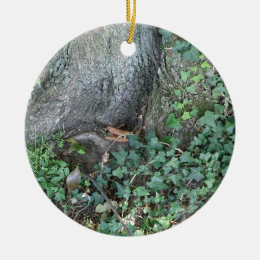 森の木の幹とツタ セラミックオーナメント (正面)