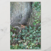 森の木の幹とツタ 便箋 (正面)