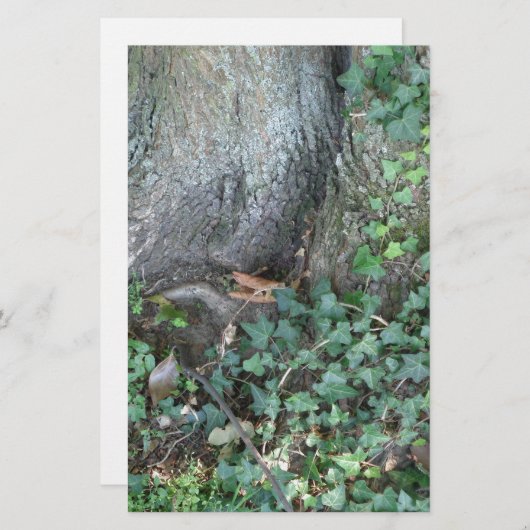 森の木の幹とツタ 便箋 (正面/裏面)