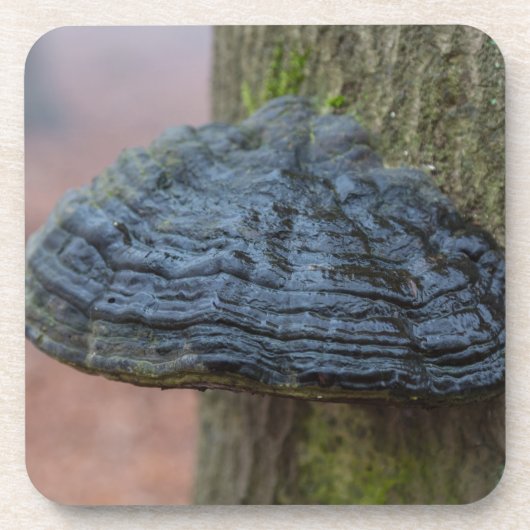 森の木の幹のキノコ コースター (正面)