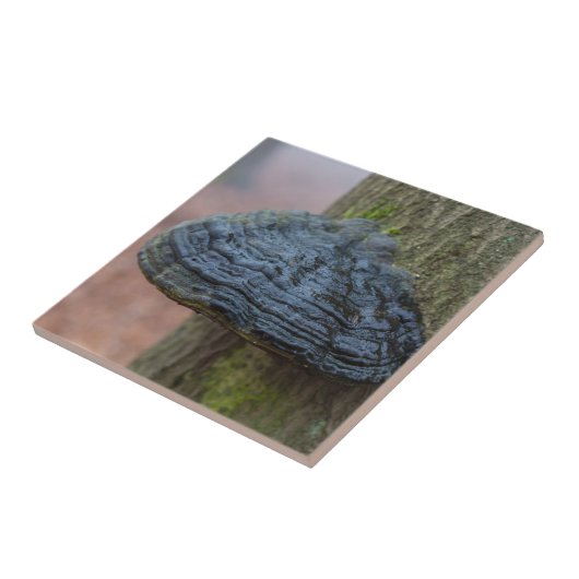 森の木の幹のキノコ タイル (側面)