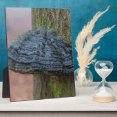 森の木の幹のキノコ フォトプラーク (側面)