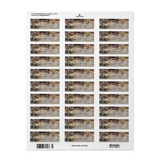 森の木の柵にすわってかわいいチムンク ラベル (フルシート)